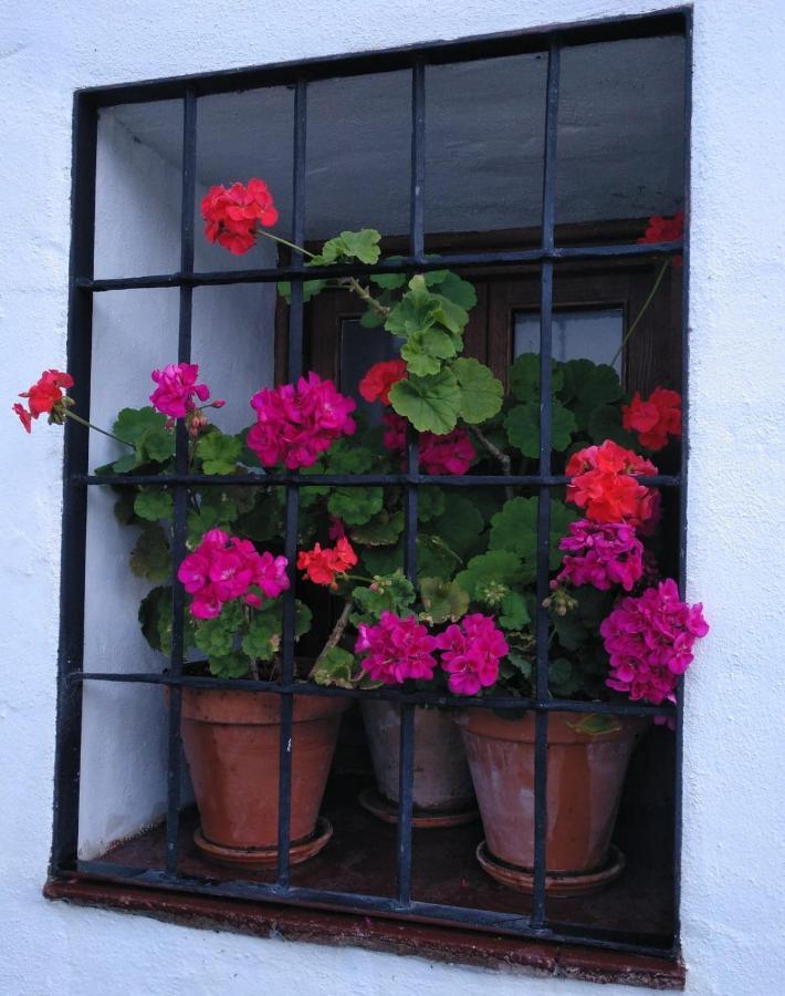 Casa Rural En Grazalema Exterior foto